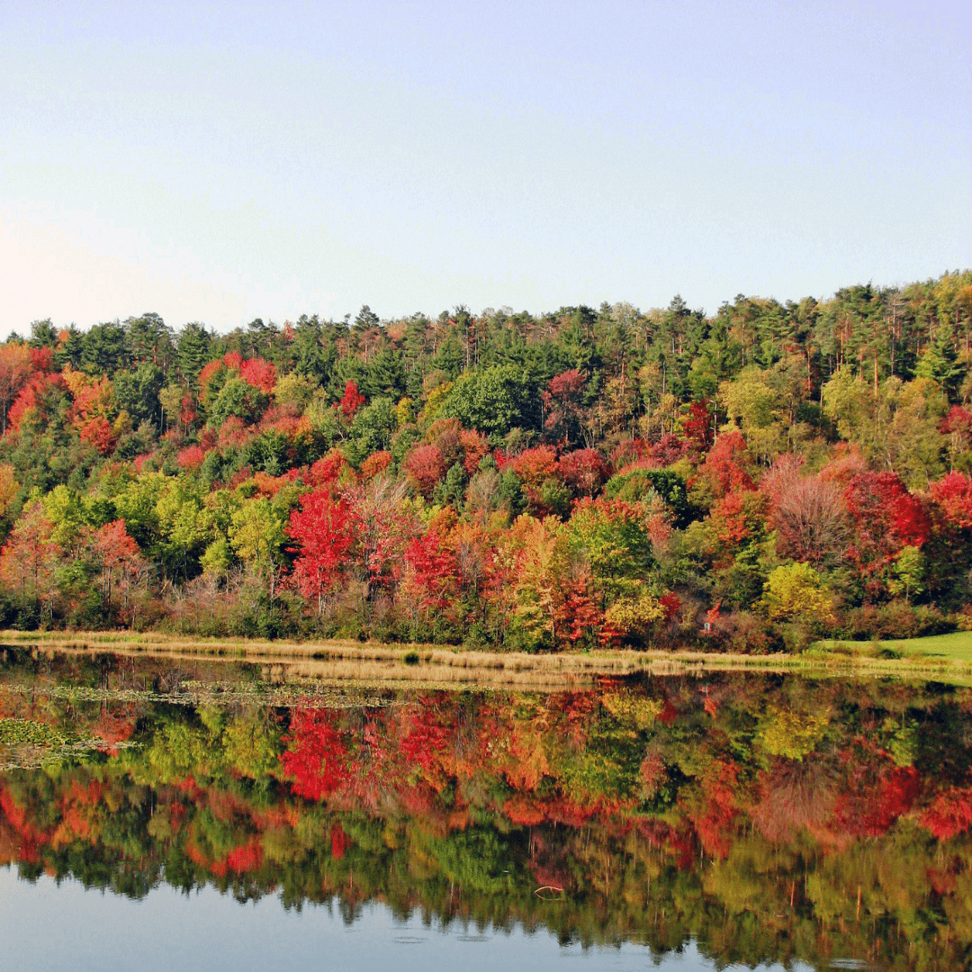 Hoffman Brothers Lumber